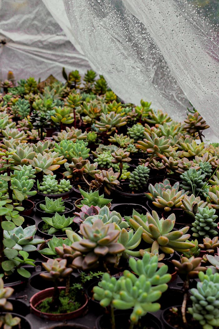 Pexels Photo 10798890